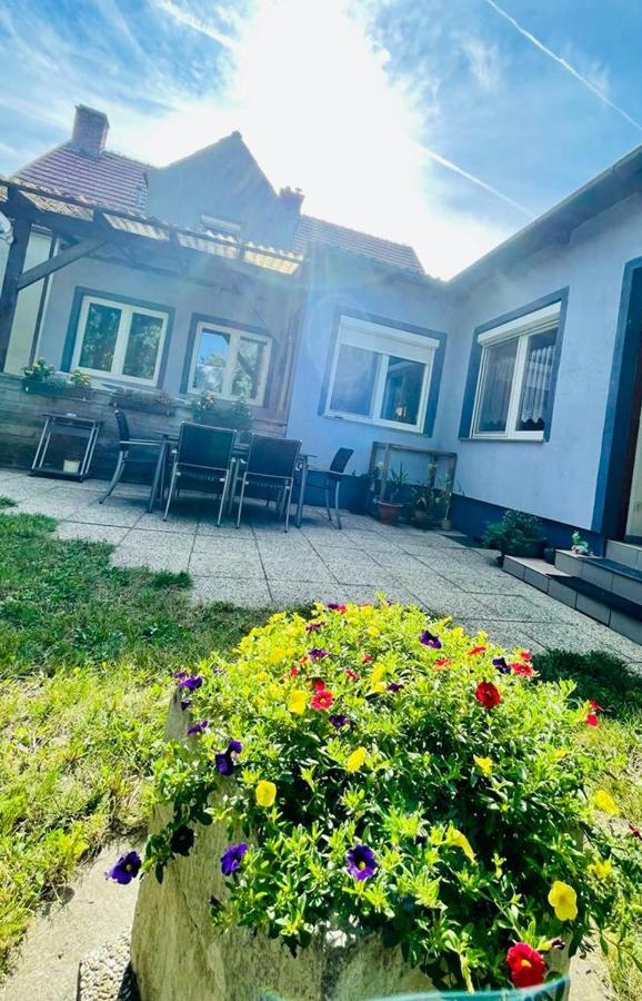 Ferienwohnung Rosenauer Purbach am Neusiedlersee Bagian luar foto